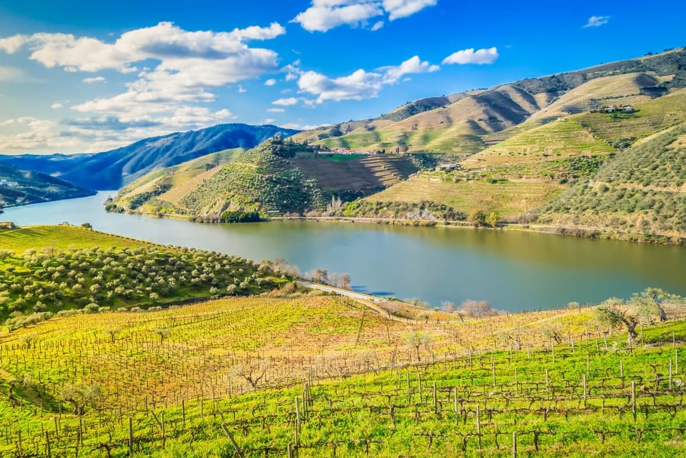 Porto and the Douro