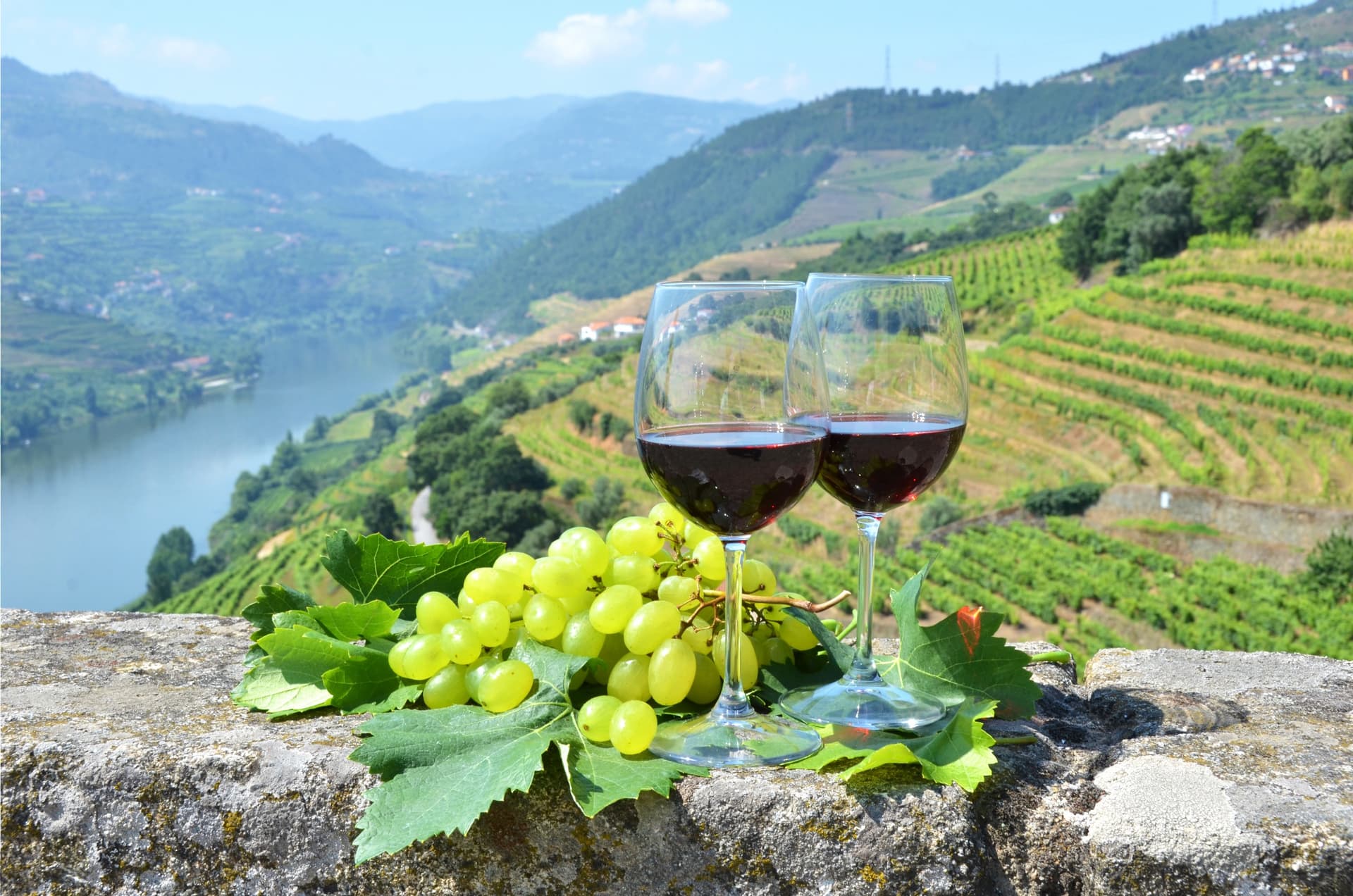 vin portugais