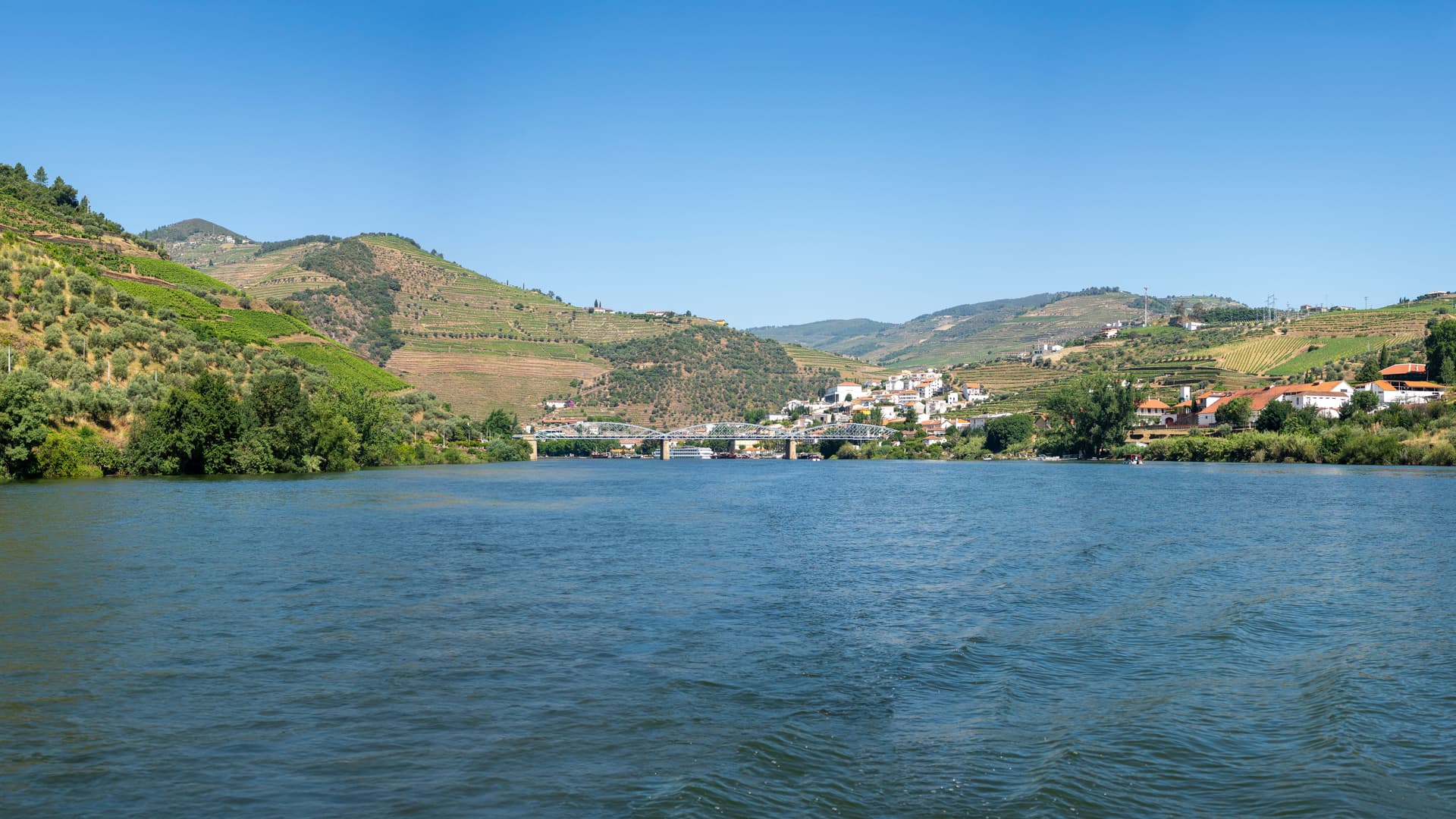 Pinhão